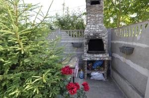 Zahrada ubytování Casa Ali