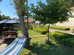 - un hamac attaché à un arbre dans la cour dans l'établissement Christina Apartment, à Ágios Konstantínos