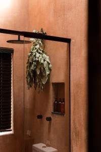 a bathroom mirror with a plant hanging over a toilet at Andenia Sacred Valley, a Member of Design Hotels in Urubamba