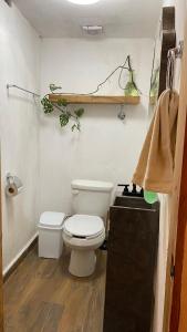 クェツァラン・デル・プログレソにあるEl Acicate Hospedajeの小さなバスルーム(トイレ、棚付)