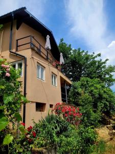 a building with a balcony with flowers on it at Casa Ema in Orşova
