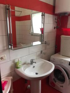 ein Badezimmer mit einem Waschbecken und einer Waschmaschine in der Unterkunft Apartments Villa Braho in Pogradec