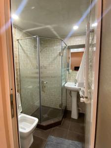 a bathroom with a shower and a toilet and a sink at Studio apartment in Yerevan in Yerevan