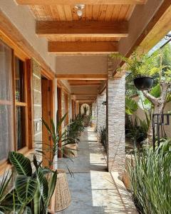 un porche de una casa con plantas. en HOTEL NEUTRO SAN CRIS Estacionamiento sujeto a disponibilidad en San Cristóbal de Las Casas