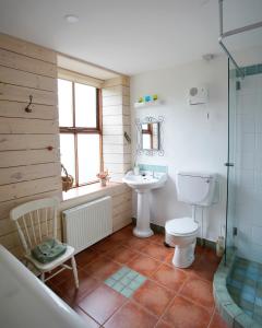 y baño con aseo, lavabo y ducha. en Meadow Cottage, en Belmullet