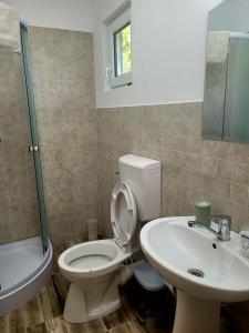 uma casa de banho com um WC e um lavatório em Casa Ema em Orşova