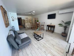 TV a/nebo společenská místnost v ubytování Studio Epoustouflant Vue Mer St Martin