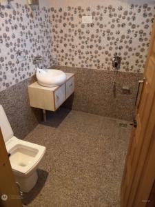 a bathroom with a toilet and a sink at Himalayan Breeze Homestay in Srinagar