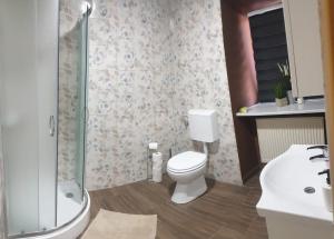 a bathroom with a toilet and a shower and a sink at Apartma Rešer in Črna na Koroškem