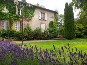 einen Garten mit lila Blumen vor einem Haus in der Unterkunft Guestroom Aydoilles, 2 pièces, 4 personnes - FR-1-589-503 in Aydoilles