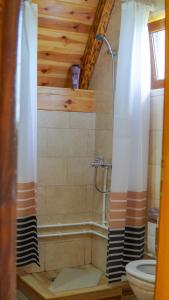 a bathroom with a shower and a toilet at Mountain house Drveni Raj in Žabljak