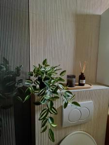 a bathroom with a toilet and a green plant at Holiday Home Mirela in Orebić