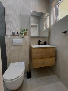 bagno con servizi igienici, lavandino e specchio di Holiday Home Mirela a Orebić (Sabbioncello)