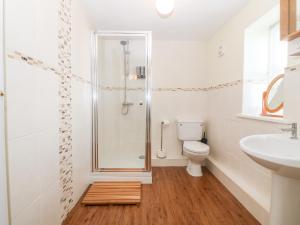a bathroom with a shower and a toilet and a sink at Oak Cottage in Caernarfon