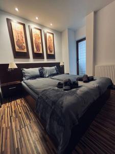 een slaapkamer met een groot bed en wat foto's aan de muur bij Nairo Aparthotel in Braşov
