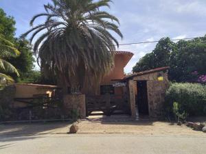 een huis met een palmboom ervoor bij El Yaque Ranch in El Yaque