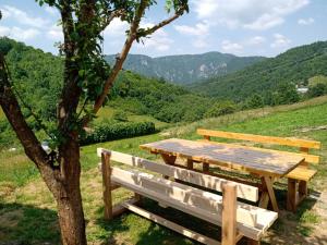 a wooden picnic table sitting next to a tree at Zelena livada (Green Meadow) in Bijelo Polje