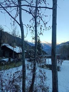 ein schneebedecktes Feld mit Bäumen und einer Brücke in der Unterkunft Tana della volpe 2 in Gressan