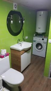 bagno con lavandino e lavatrice di Екоферма Семенюк a Kostylivka