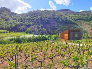 a house in a vineyard with a hill in the background at Quinta de Recião in Lamego
