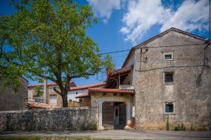 une vieille maison en pierre avec un arbre en face de celle-ci dans l'établissement Karst Heritage Retreat, à Štanjel