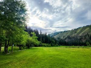 a large green field with trees and mountains in the background at Southfork Lodge - Riverside Inn in Lowman