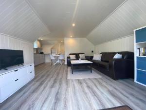 uma sala de estar com um sofá e uma televisão em Southern bliss - Sørlandsidyll em Feda