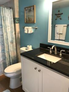 a bathroom with a sink and a toilet and a mirror at Tropical Daze Oceanfront Paradise in Tavernier