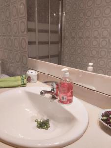 瓦倫西亞的住宿－Blasco Ibáñez Valencia Double Room with Private Bathroom in Shared Apartment，浴室水槽和一瓶肥皂