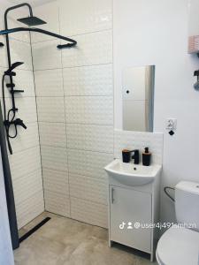 W łazience znajduje się toaleta, umywalka i lustro. w obiekcie K&J Domki Letniskowe w mieście Będzino