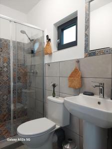 y baño con aseo, lavabo y ducha. en Casa de pe un Deal-Provita de Sus-Prahova, en Proviţa de Sus