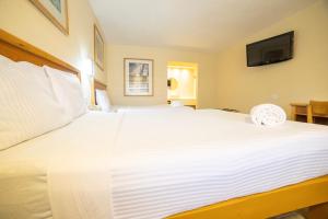 Voodi või voodid majutusasutuse Hotel Colonial Ciudad Juarez toas