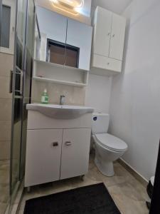 a bathroom with a sink and a toilet at City Center Apartment in Bucharest