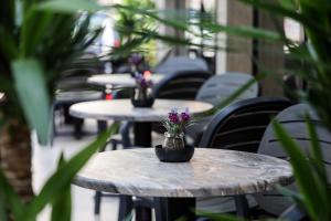 Fotografie z fotogalerie ubytování N HOTEL CITY CENTER BY NOSHI v destinaci Tirana