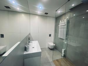 ウストロニエ・モルスキエにあるApartament Dwie Sosny Patrycjaのバスルーム(トイレ、洗面台、シャワー付)