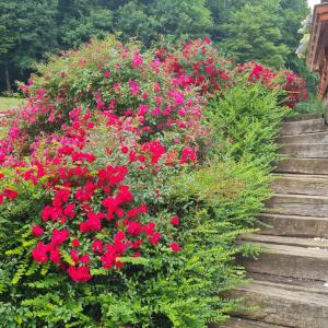 Gallery image of Soba pri nam in Gačnik