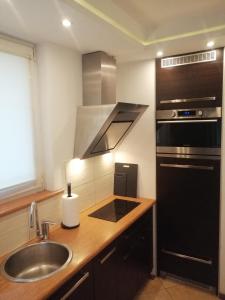 a kitchen with a sink and a stove top oven at Studio Syreny in Warsaw