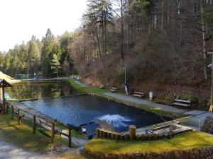 una piscina de agua con bancos en un parque en Glamping - Kamp Steska en Žalec
