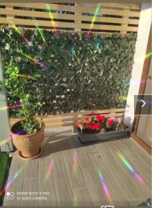 Φωτογραφία από το άλμπουμ του Estella στη Νάξο Χώρα