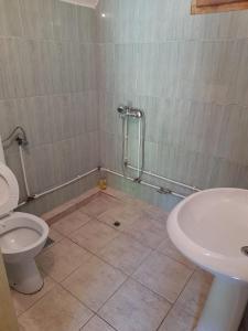 a bathroom with a shower and a toilet and a sink at Villa Mulliri in Peje