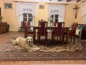 Domácí mazlíčci ubytovaní s hosty v ubytování Chalupa Gretl