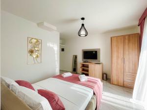 a bedroom with a bed and a television in it at Apartments Ali in Ulcinj
