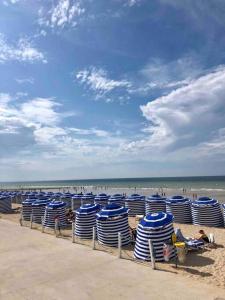una fila di sedie blu e bianche sulla spiaggia di kerwatt a Cabourg