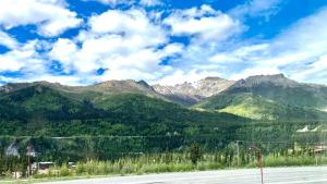 マッキンリー・パークにあるDenali Rainbow Village RV Park and Motelの山脈の道路