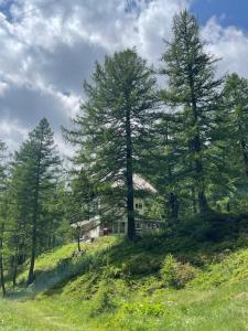 Photo de la galerie de l'établissement I Larici - Appartamento per sognare, à Alpe Devero