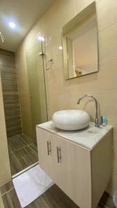 a bathroom with a sink and a shower with a mirror at Hostal Casa San Pedro in Santa Marta