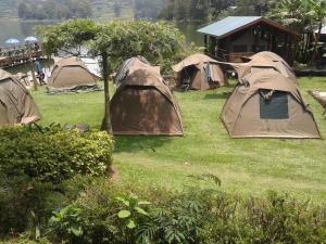 a group of tents sitting in the grass at Bunyonyi Overland Resort in Kabale