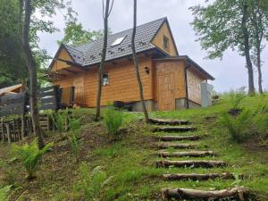 une maison en bois située sur une colline et accessible par des escaliers. dans l'établissement Za Potokiem, à Grywałd