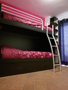 1 Schlafzimmer mit 2 Etagenbetten mit einer Leiter in der Unterkunft Mirador del Olivar in Olvera