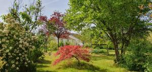 een tuin met bomen en een rode bush bij Le Fier Paon 